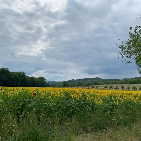 In Blankenburg *