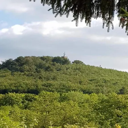 Apartment Comfort Near Harz Trails Cattenstedt