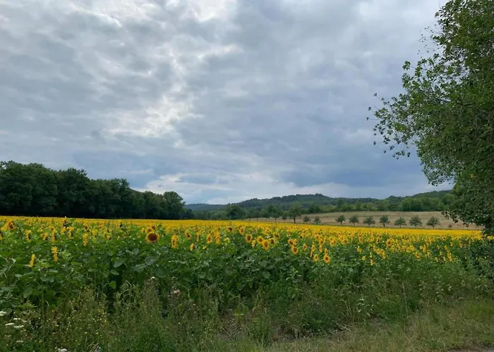 Comfort Near Harz Trails *