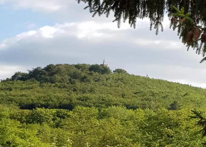 Daire Comfort Near Harz Trails Cattenstedt